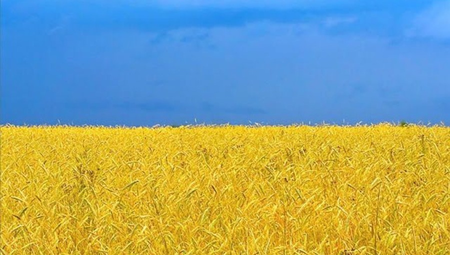 اوکراین کشاورزی