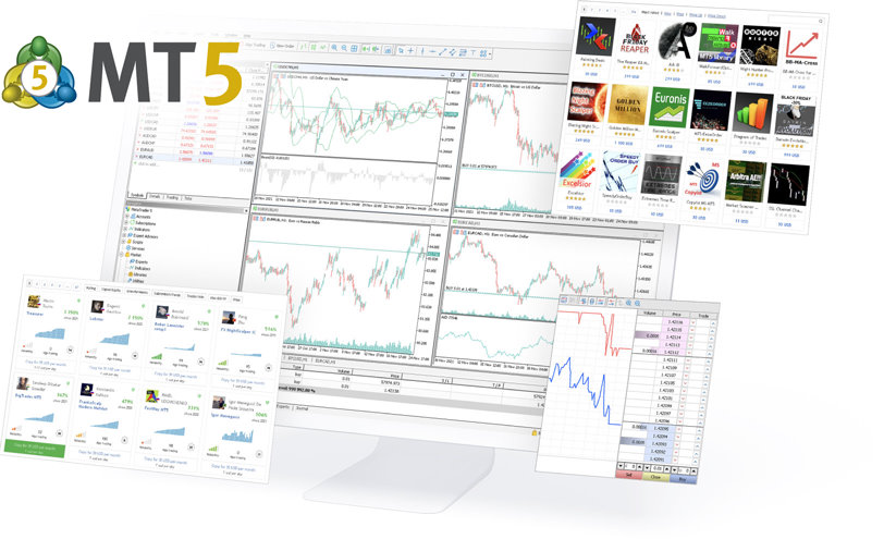 متاتریدر5