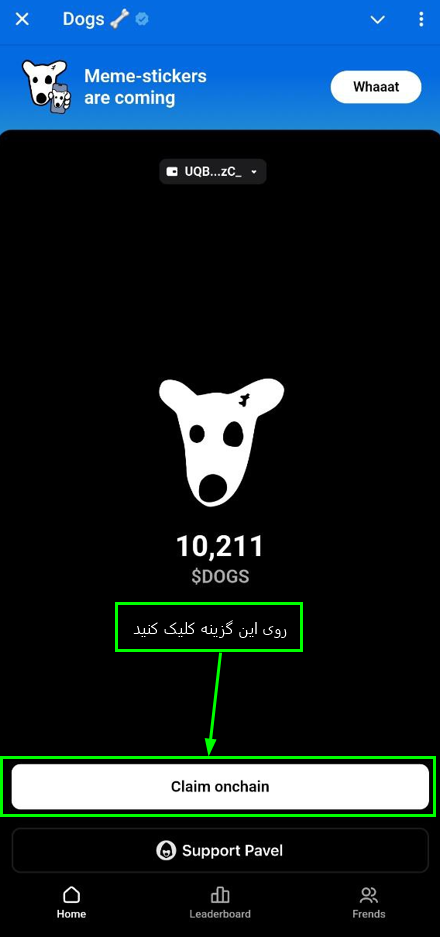 آموزش برداشت داگز