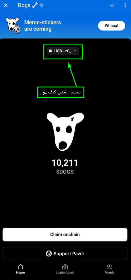 آموزش برداشت داگز