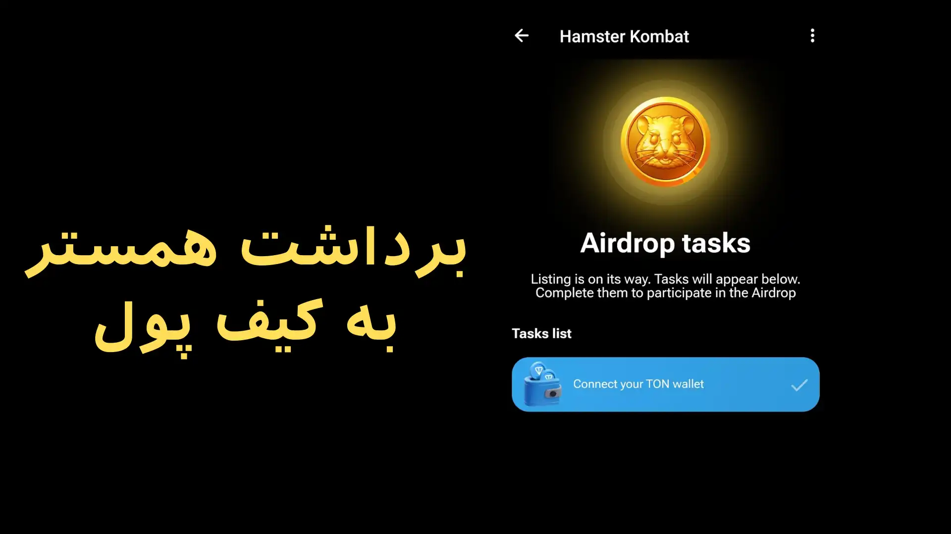 فصل دوم همستر