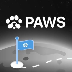 ایردراپ PAWS چیست؟ آموزش کامل ایردراپ پاز