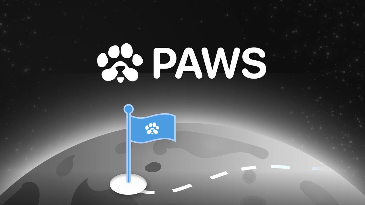 ایردراپ PAWS چیست؟ آموزش کامل ایردراپ پاز