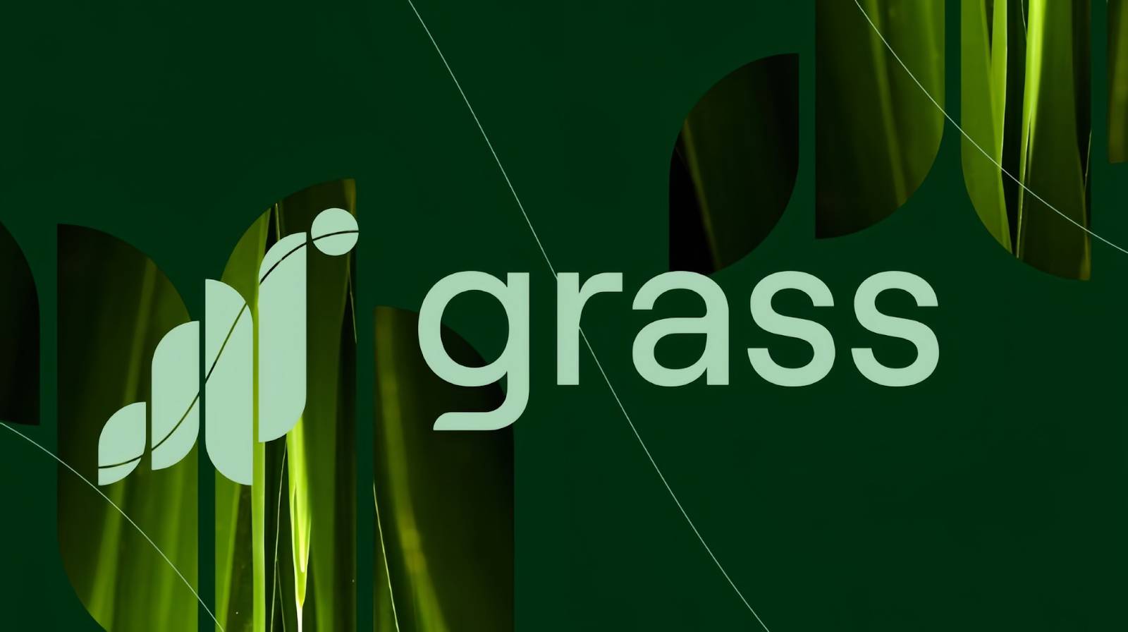 ایردراپ Grass چیست و چگونه برای ایردراپ گرس امتیاز کسب کنیم؟