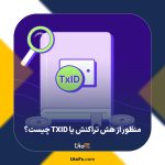  منظور از هش تراکنش یا TXID چیست؟