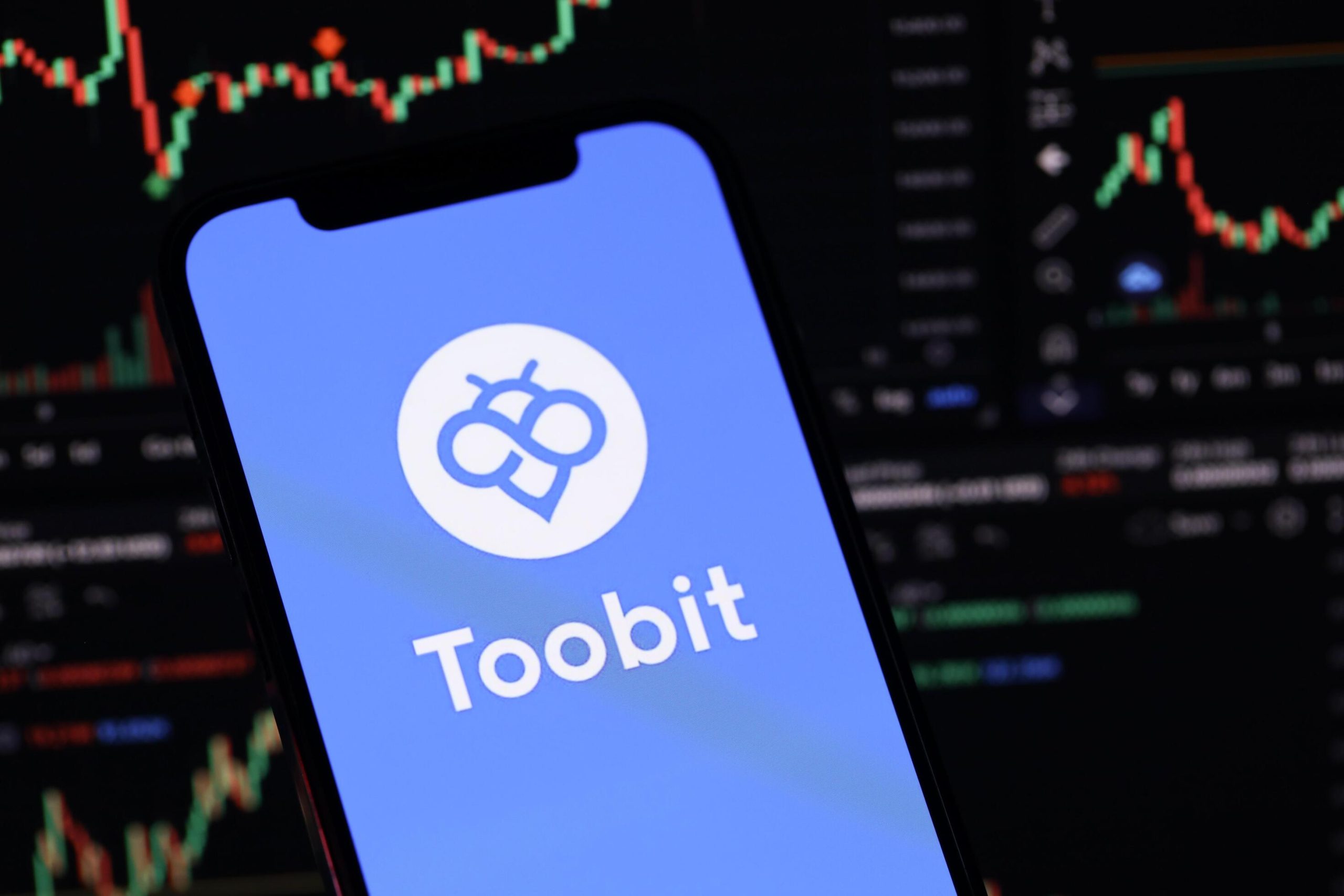 میم کوین در صرافی توبیت
