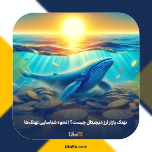 نهنگ‌ بازار ارز دیجیتال چیست؟ | نحوه شناسایی نهنگ‎‌ها