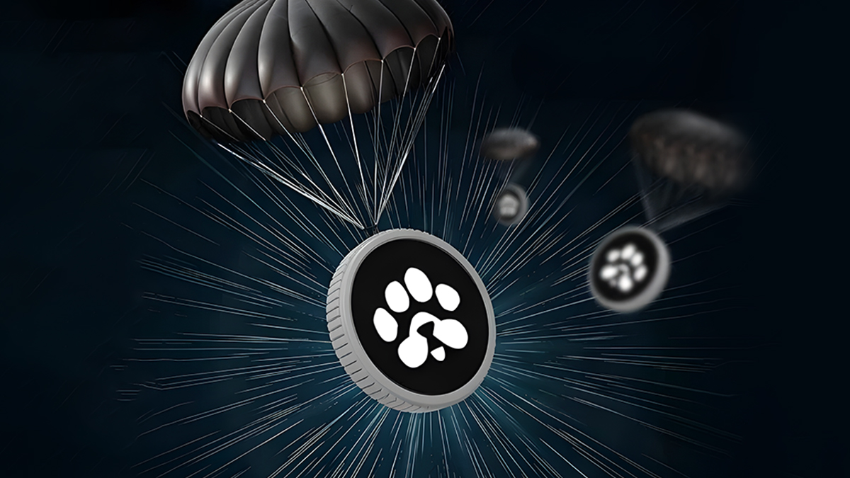 برداشت PAWS و نقد کردن توکن پاوز؛ راهی ساده برای تبدیل ایردراپ به درآمد واقعی