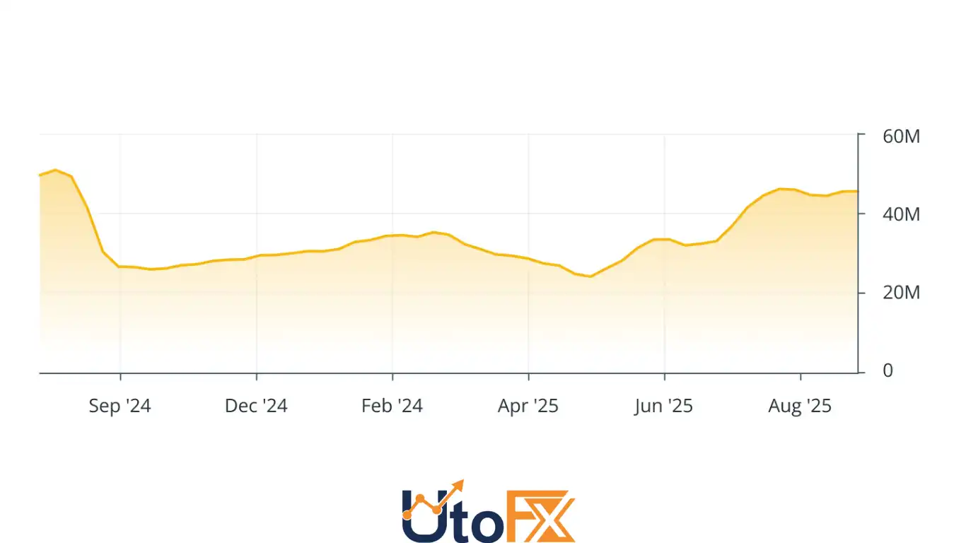بی‌ان‌بی چین (BNB Chain)