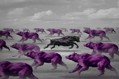 contrarian trading